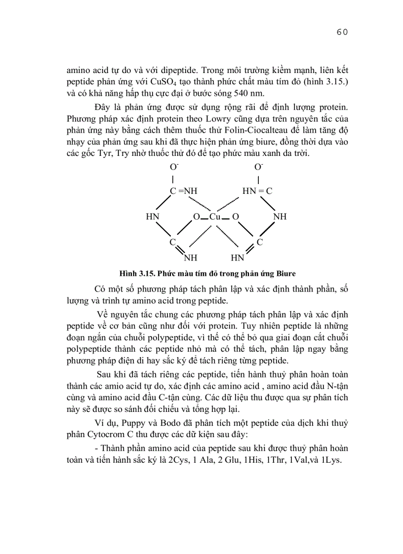 image for page Tìm hiểu về protein