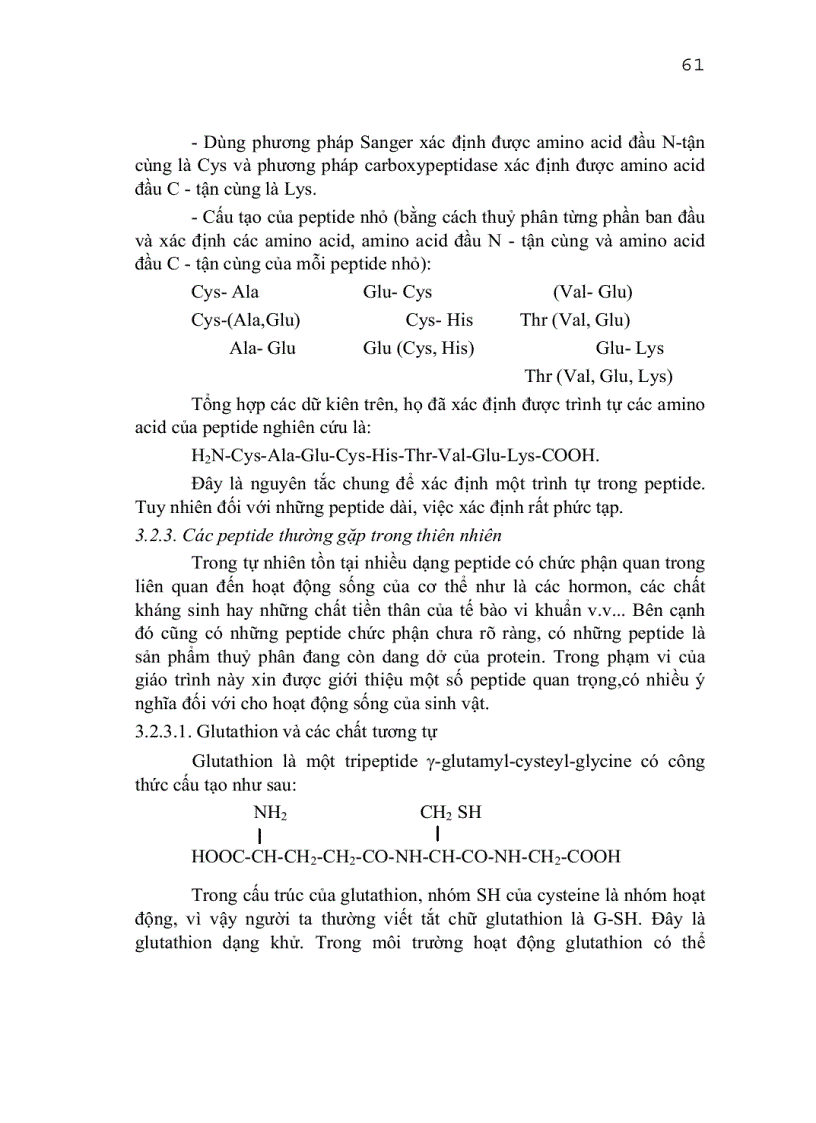 image for page Tìm hiểu về protein
