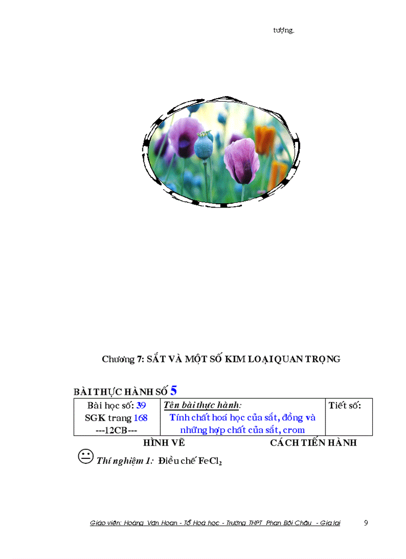 image for page Hướng dẫn thiết kế các thí nghiệm thực hành hóa học lớp 12 CB
