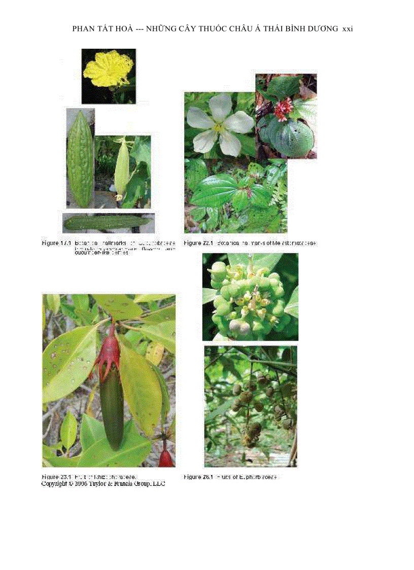 image for page Tài Liệu Dành Cho Nghiên Cứu