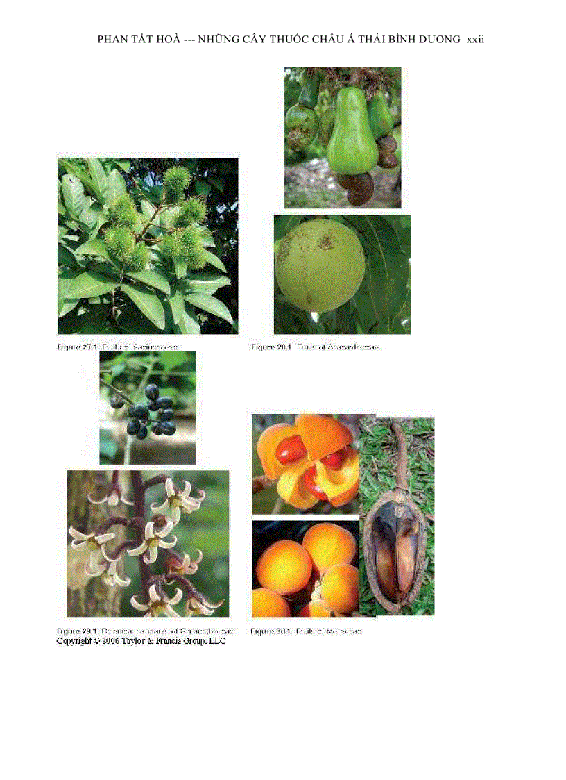 image for page Tài Liệu Dành Cho Nghiên Cứu