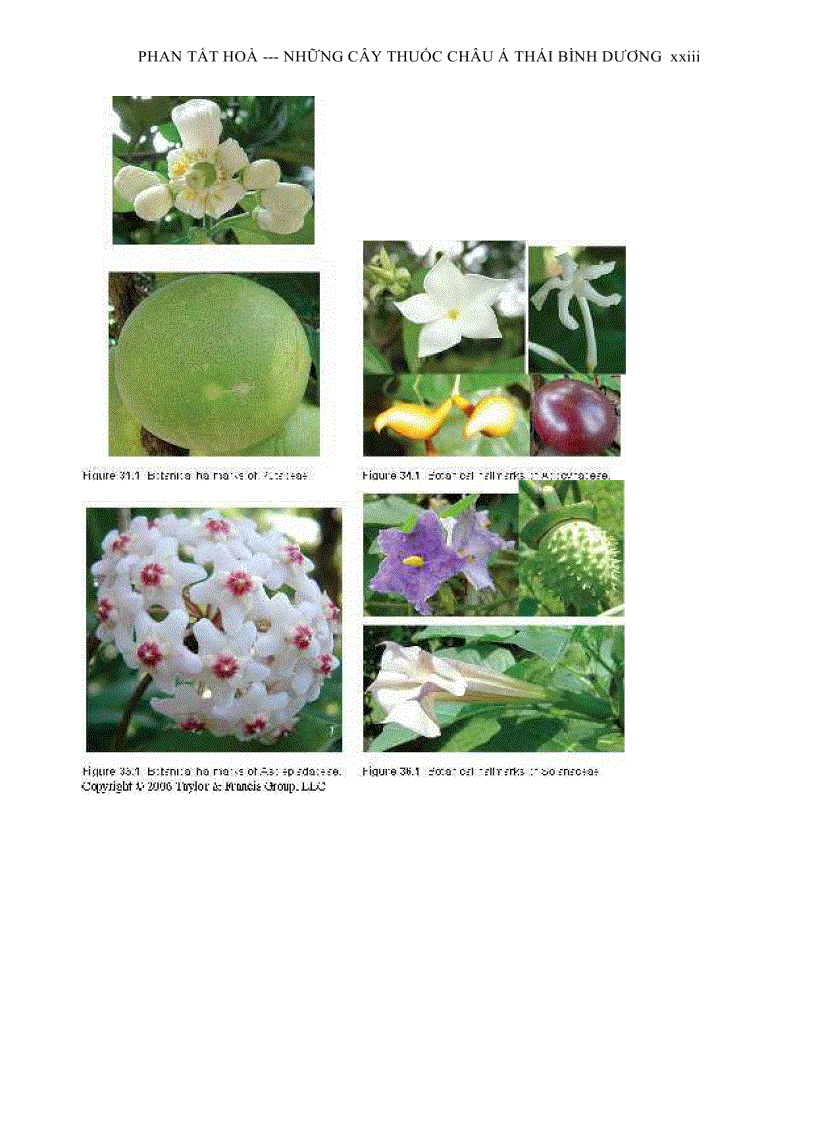 image for page Tài Liệu Dành Cho Nghiên Cứu