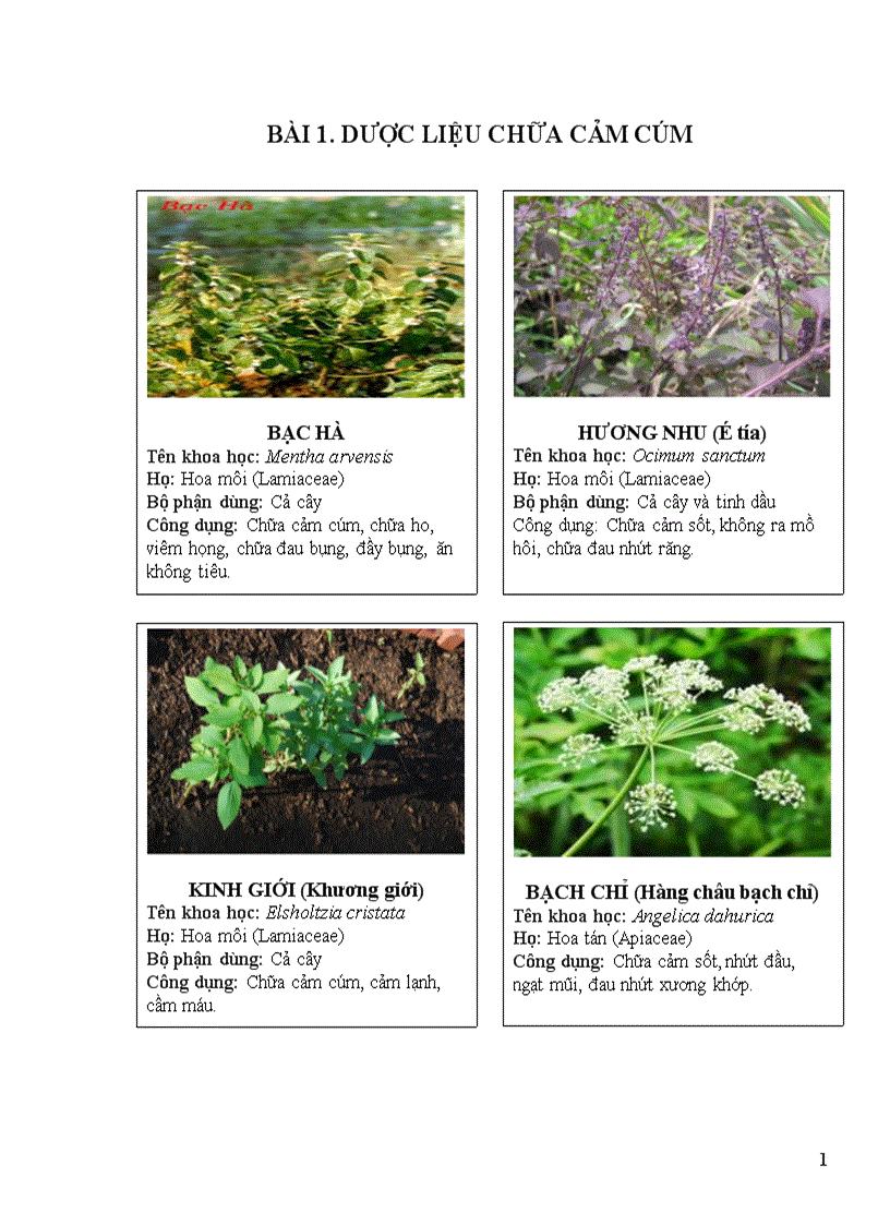 image for page Thuoc nam