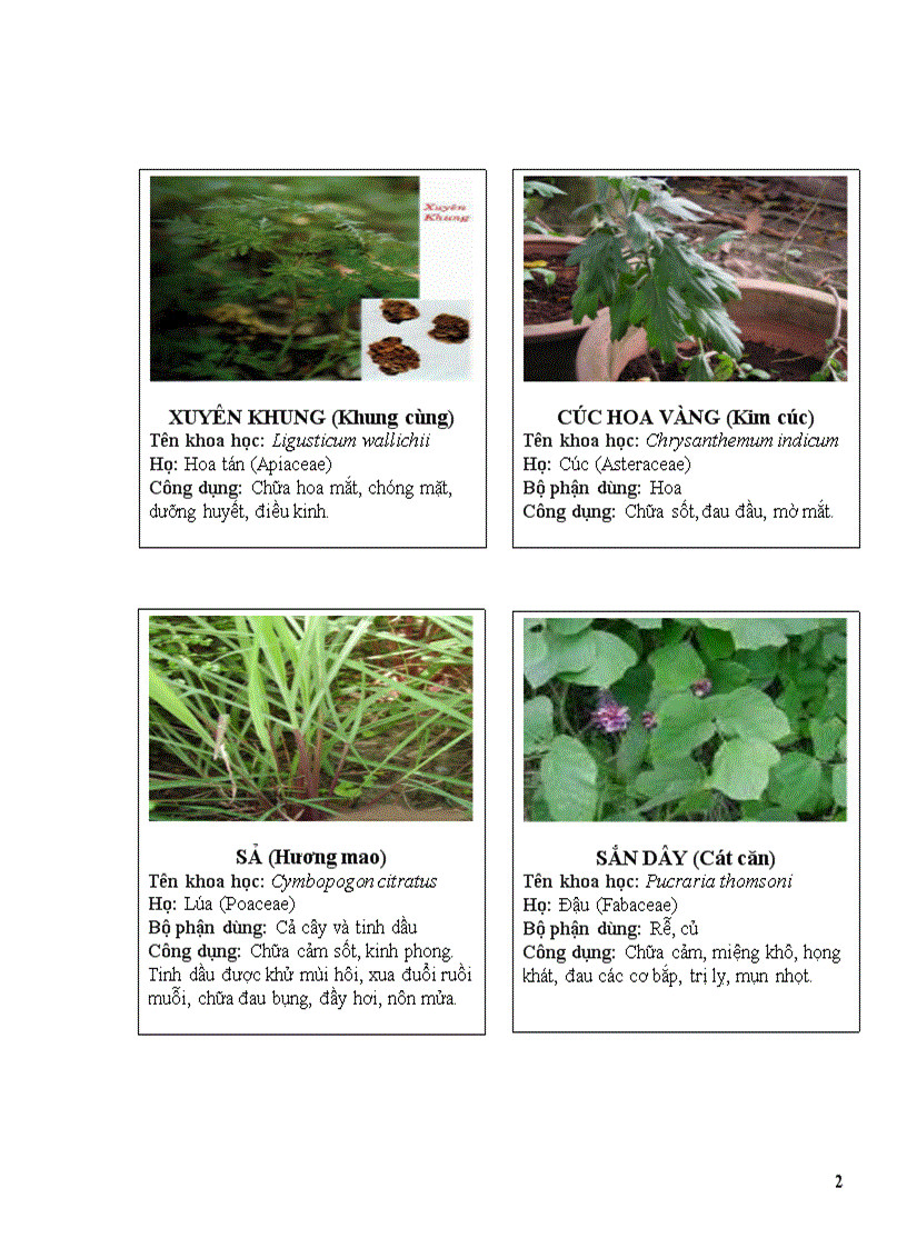 image for page Thuoc nam