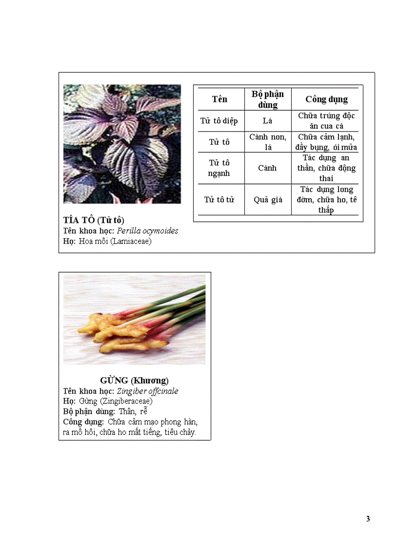 image for page Thuoc nam