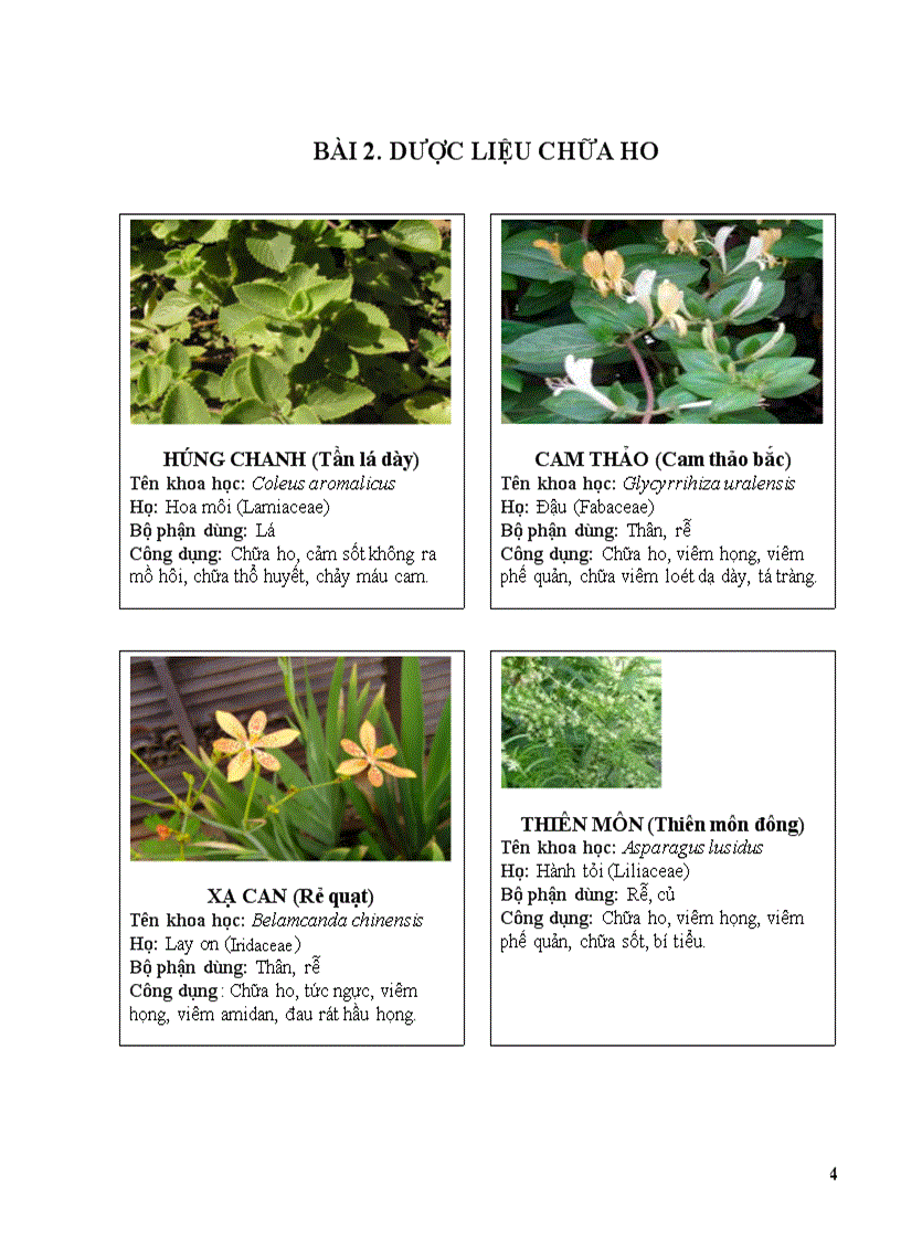 image for page Thuoc nam