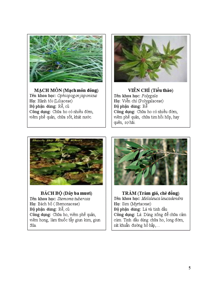 image for page Thuoc nam