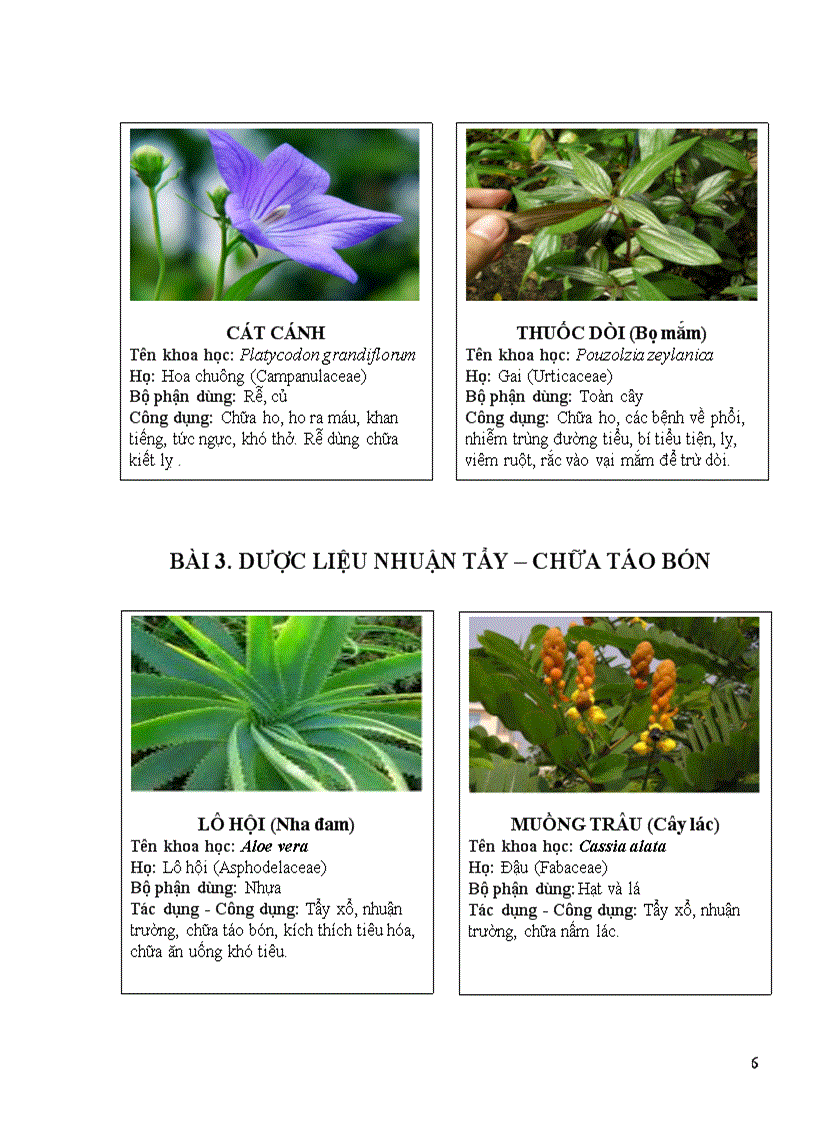 image for page Thuoc nam