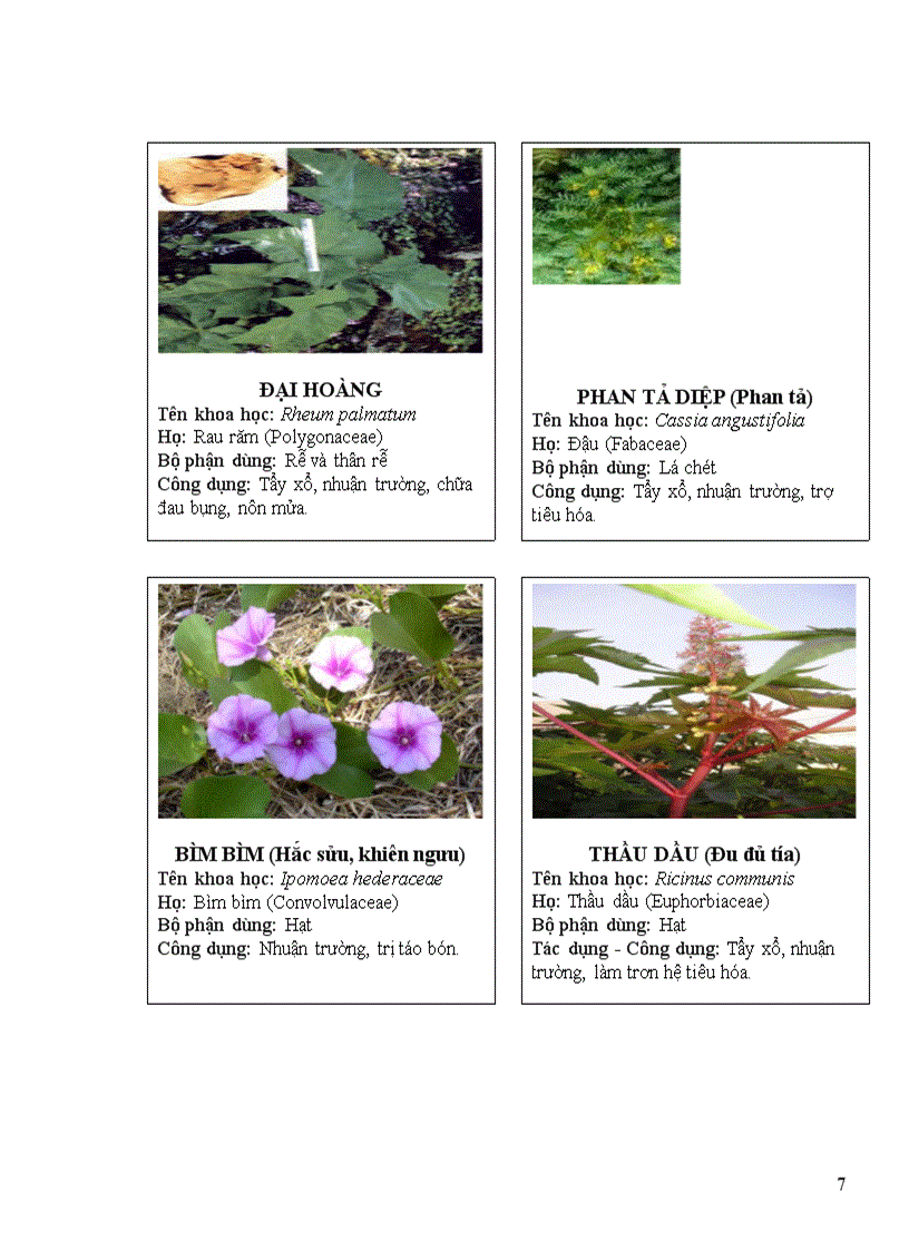 image for page Thuoc nam