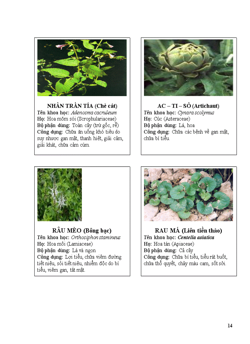 image for page Thuoc nam