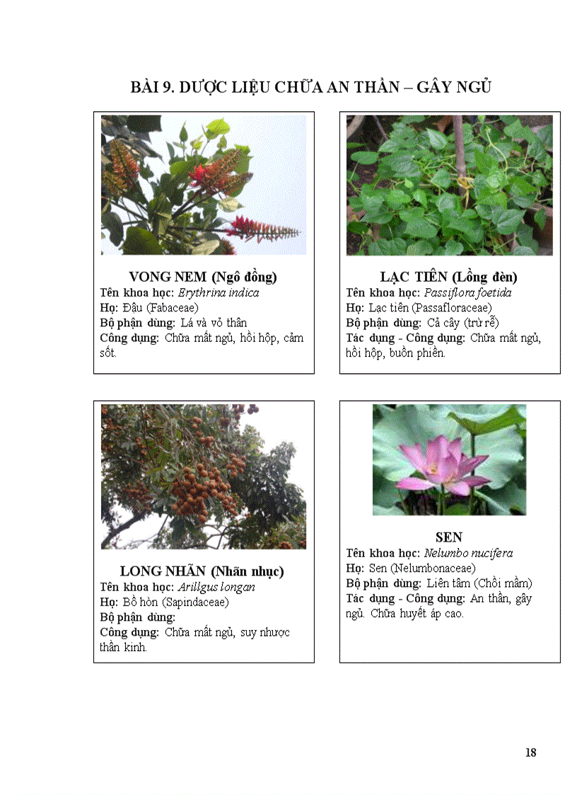 image for page Thuoc nam