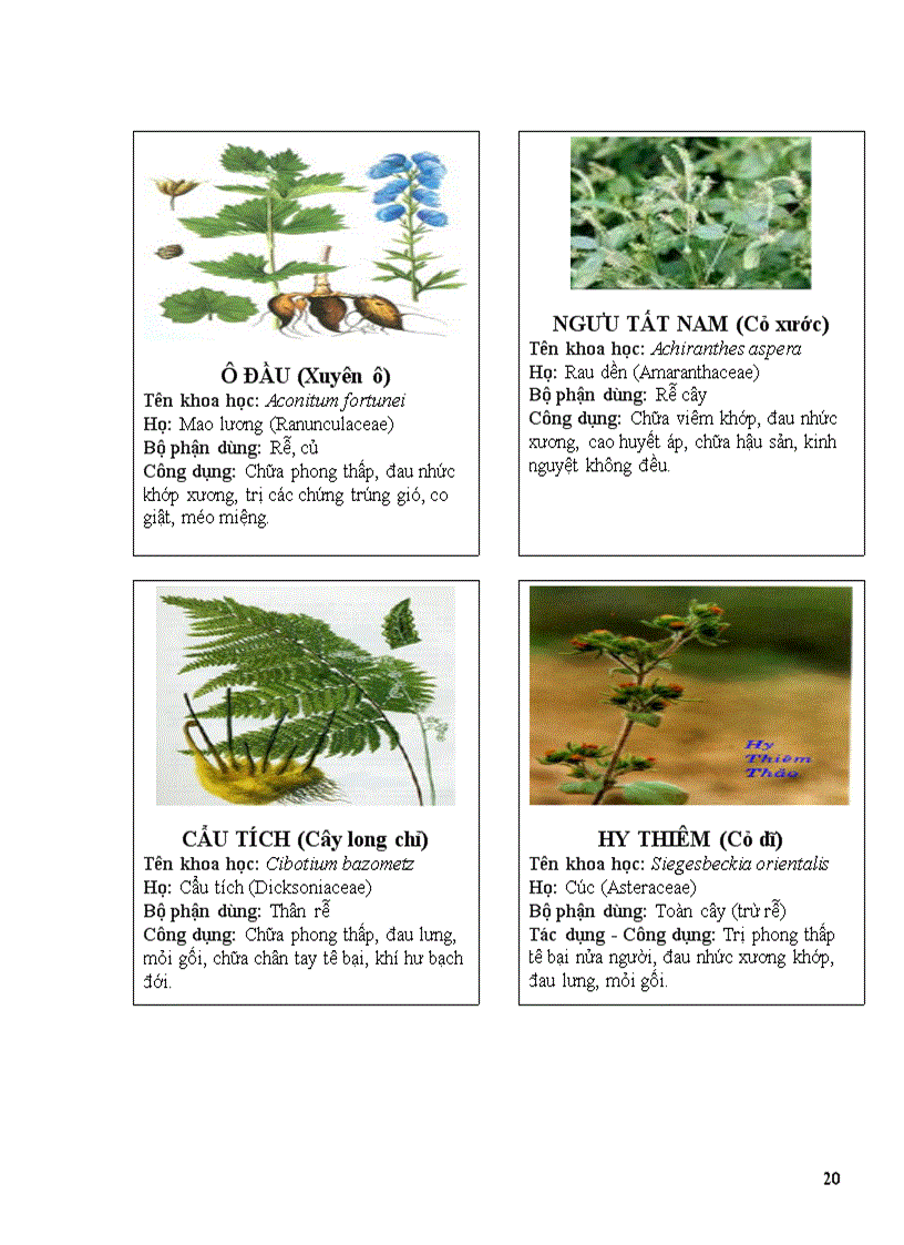 image for page Thuoc nam