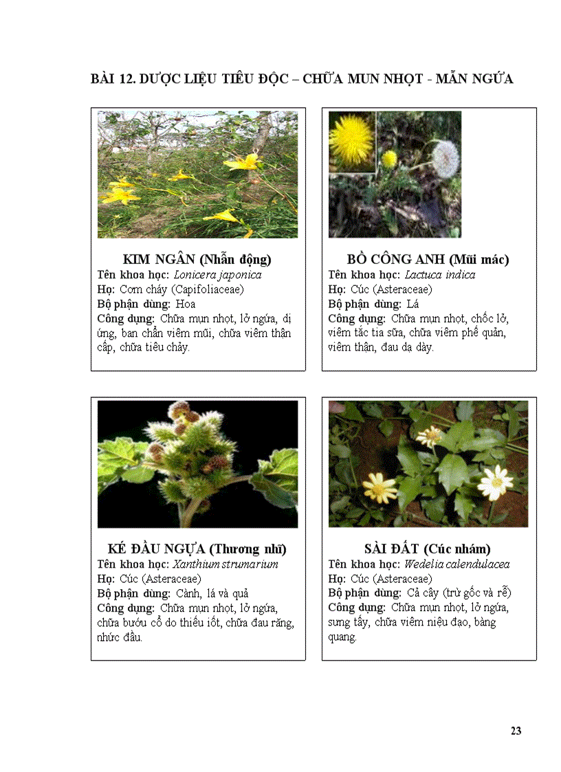 image for page Thuoc nam