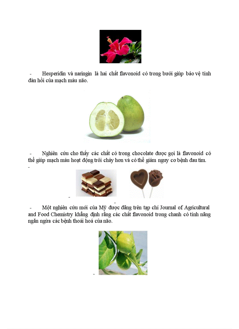 image for page Tim hieu ve flavonoit