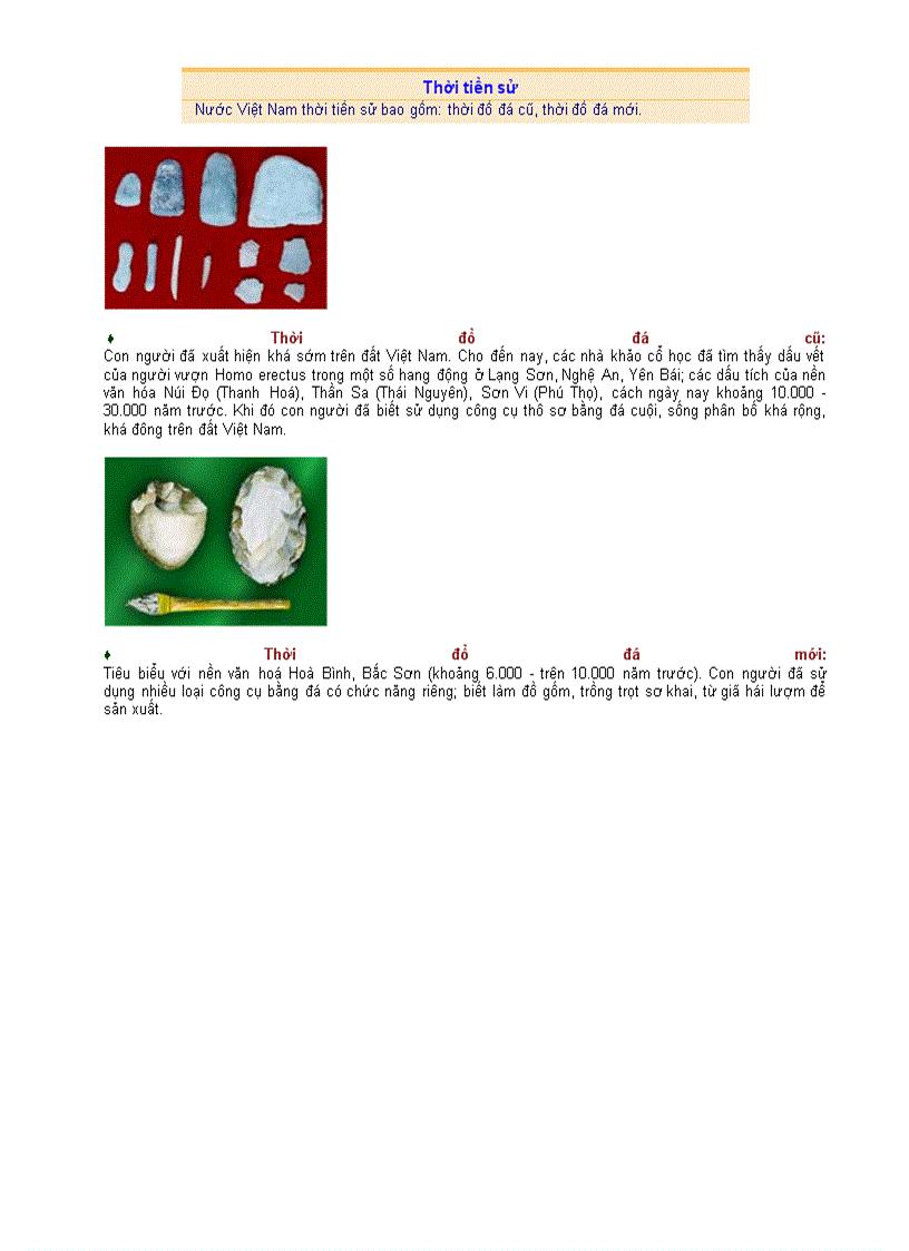 image for page Thời tiền sử