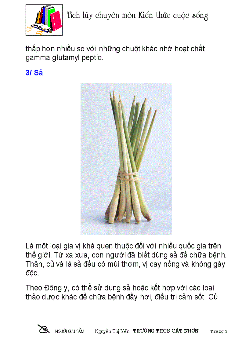 image for page 6 gia vị chữa bệnh người rất hiệu quả