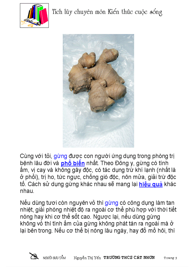 image for page 6 gia vị chữa bệnh người rất hiệu quả