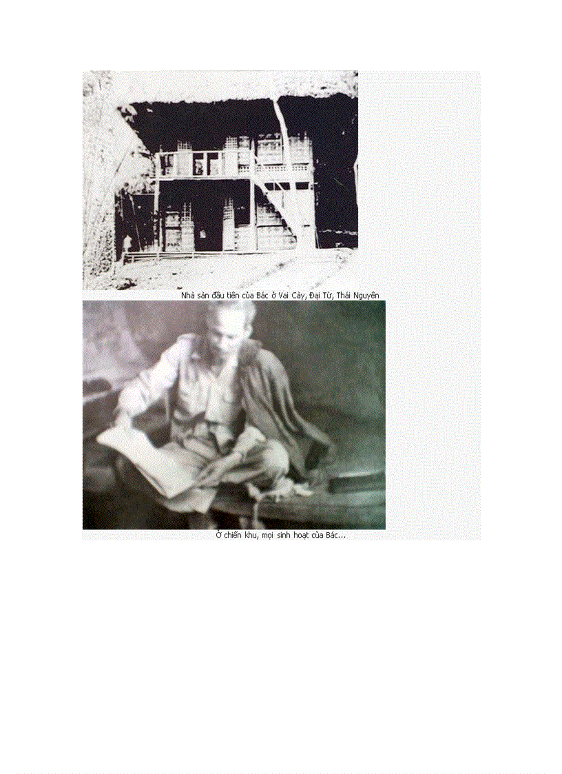 image for page Những sự kiện lịch sử từ năm 1945 đến năm 1955