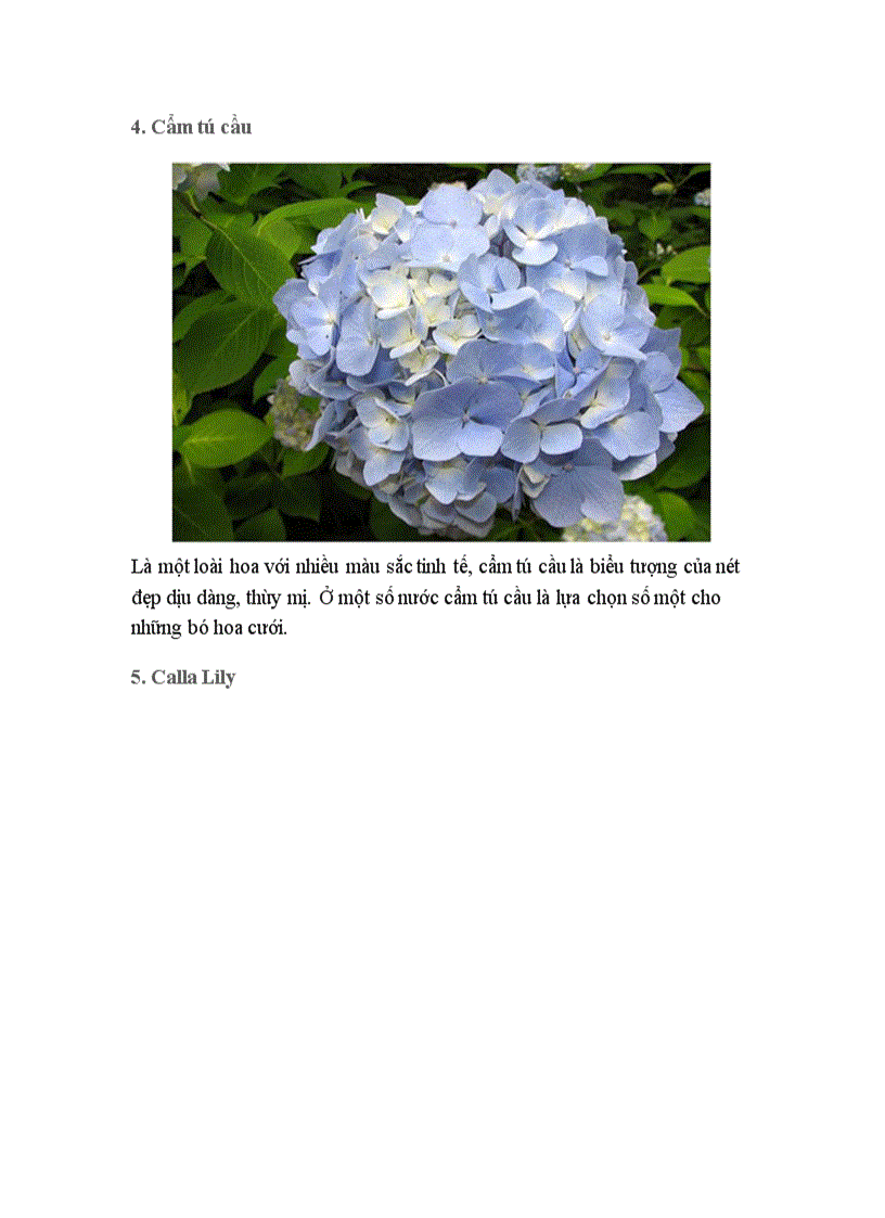 image for page Hoa đẹp