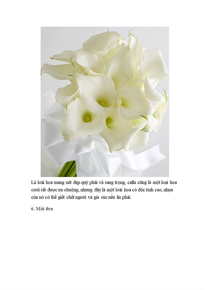 image for page Hoa đẹp