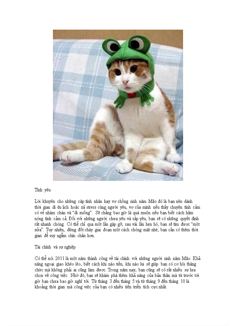 image for page Năm tân mão của tuổi mèo