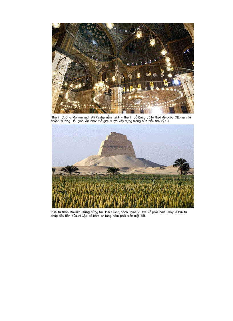 image for page Báu vật của xứ ai cập