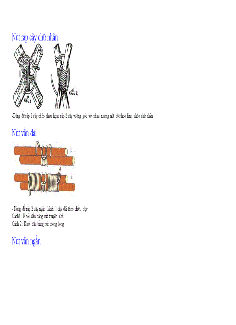 image for page Cac nut thac day dung trong cam trai