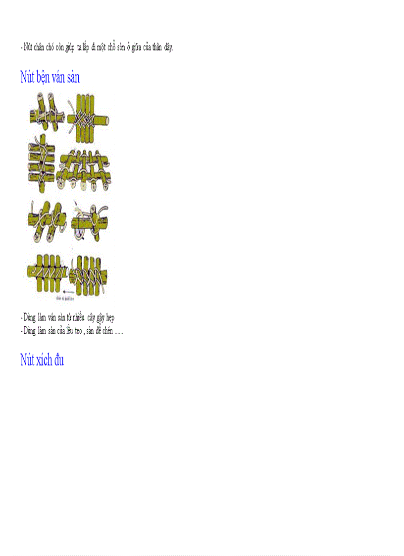 image for page Cac nut thac day dung trong cam trai