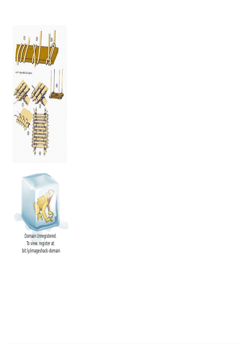 image for page Cac nut thac day dung trong cam trai