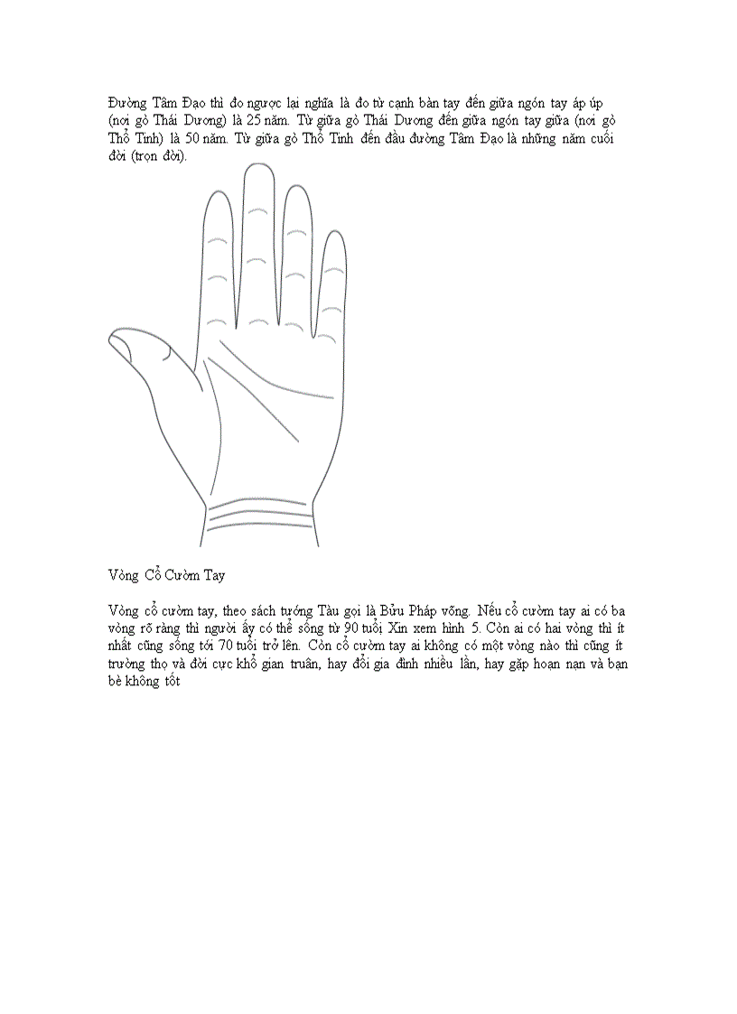 image for page Hướng nghiệp bằng cách xem chỉ tay