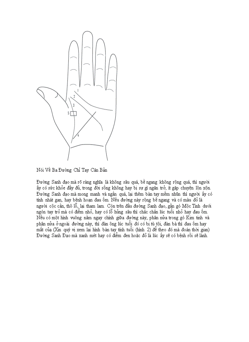 image for page Hướng nghiệp bằng cách xem chỉ tay