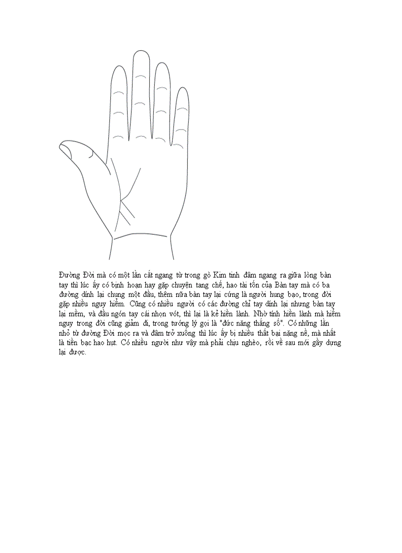 image for page Hướng nghiệp bằng cách xem chỉ tay