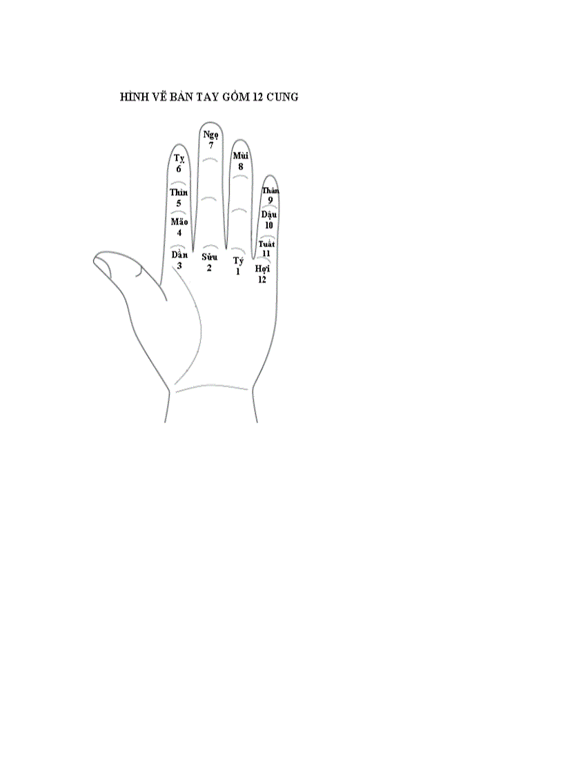 image for page Hướng nghiệp bằng cách xem chỉ tay