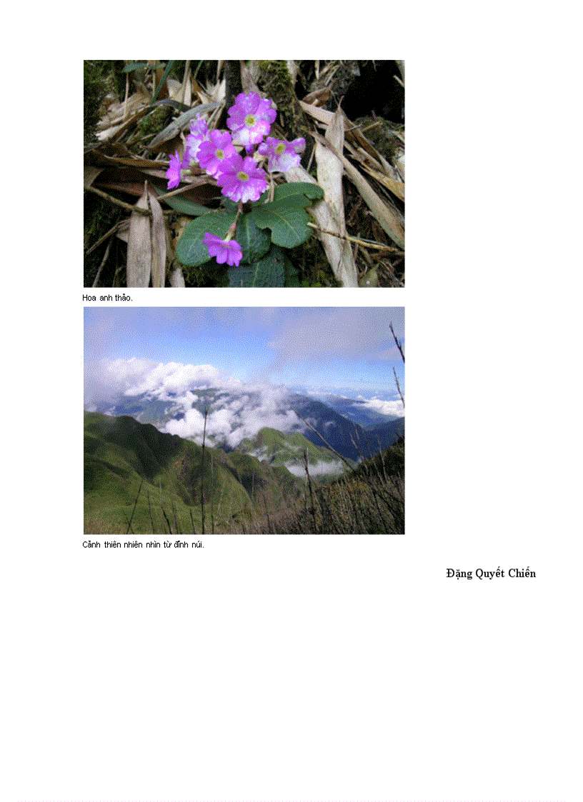 image for page Fansipan hùng vĩ