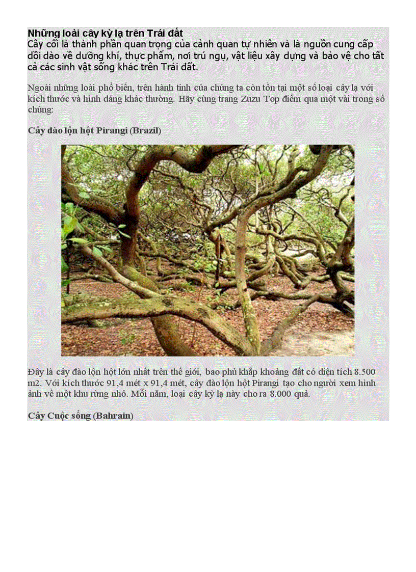 image for page Những loài cây kì lạ trên trái đất