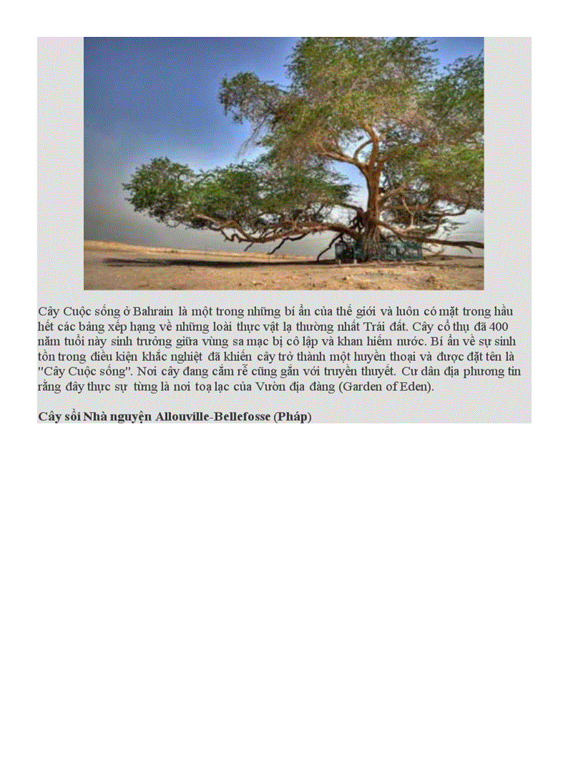 image for page Những loài cây kì lạ trên trái đất