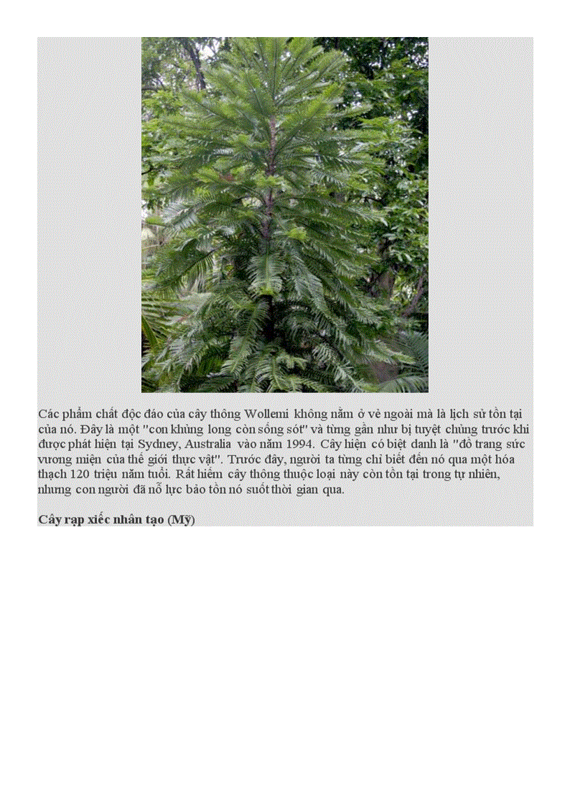 image for page Những loài cây kì lạ trên trái đất