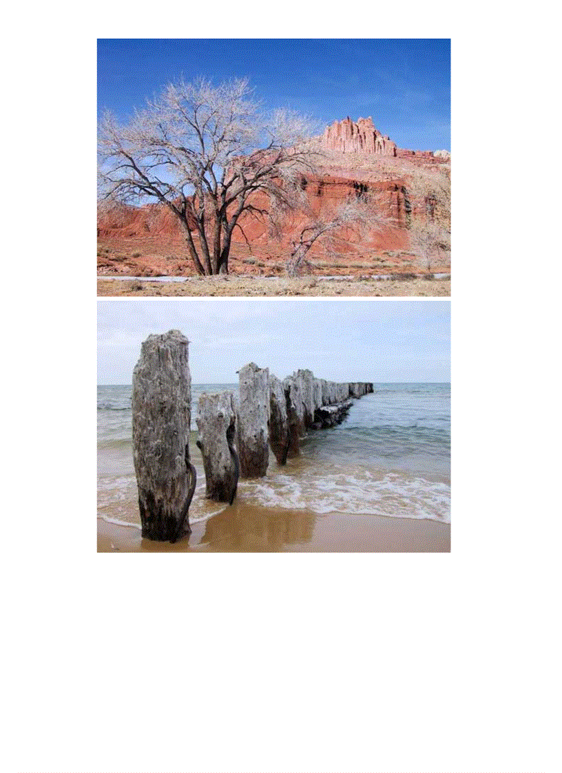 image for page Thiên nhiên hùng vĩ