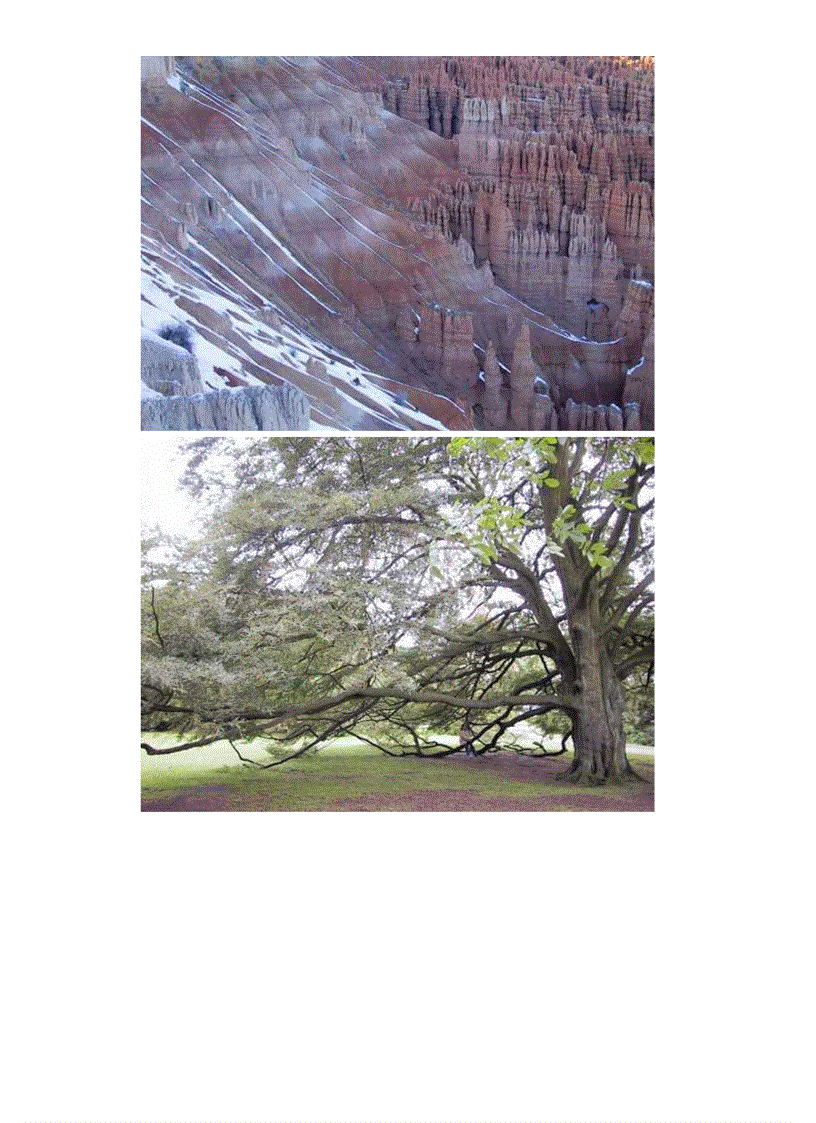 image for page Thiên nhiên hùng vĩ