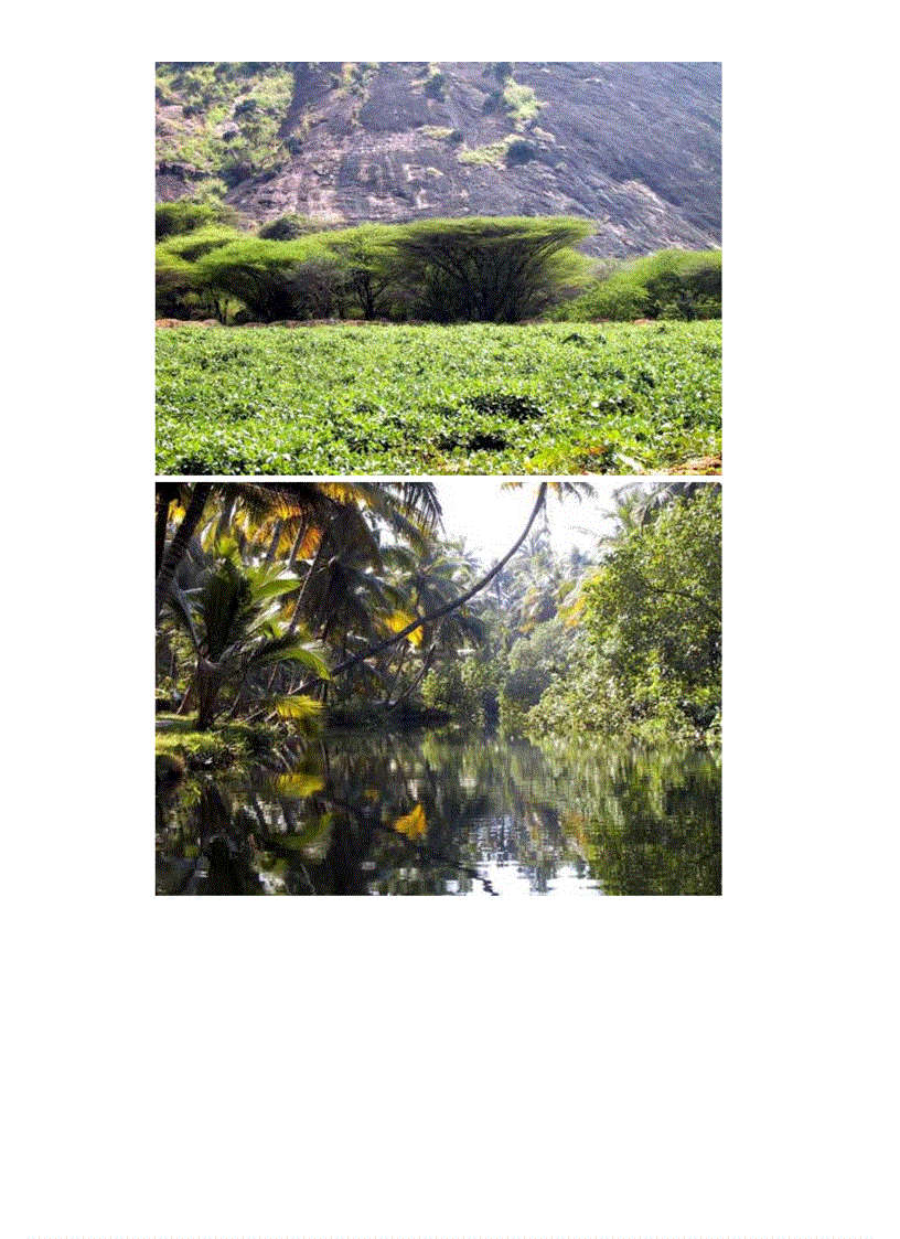 image for page Thiên nhiên hùng vĩ