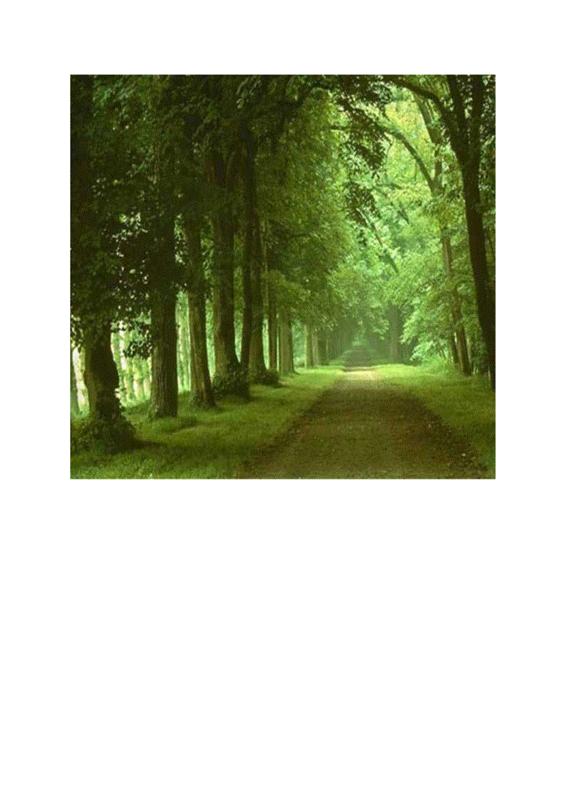 image for page Những đường mòn lãng mạn nhất Thế giới