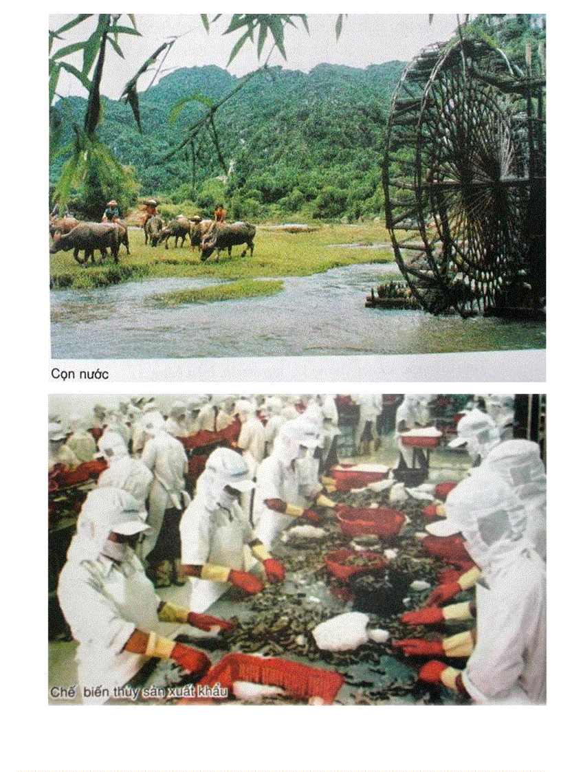 image for page Goi 1 tu lieu soan PP DL 12