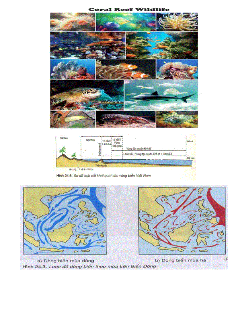 image for page Goi 1 tu lieu soan PP DL 12