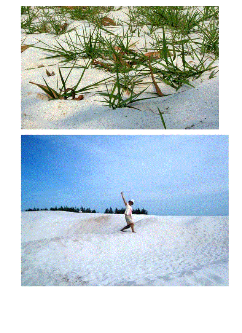 image for page Goi 1 tu lieu soan PP DL 12