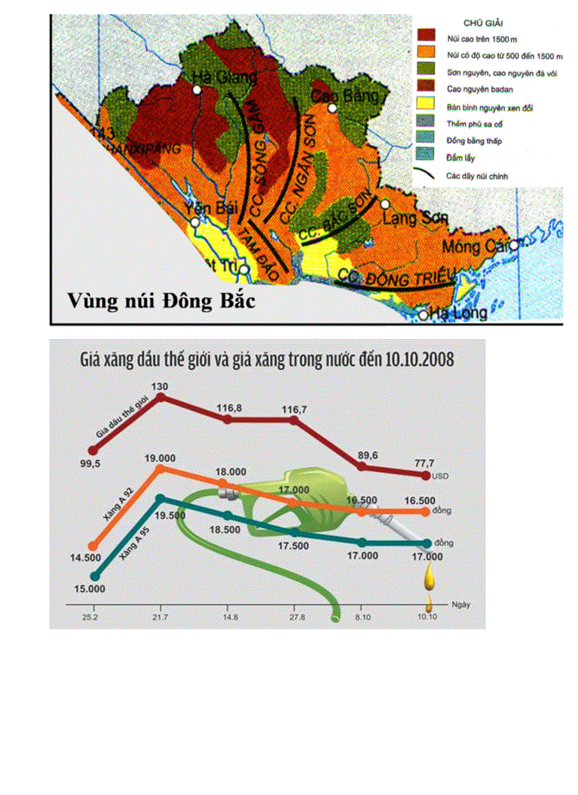 image for page Goi 1 tu lieu soan PP DL 12