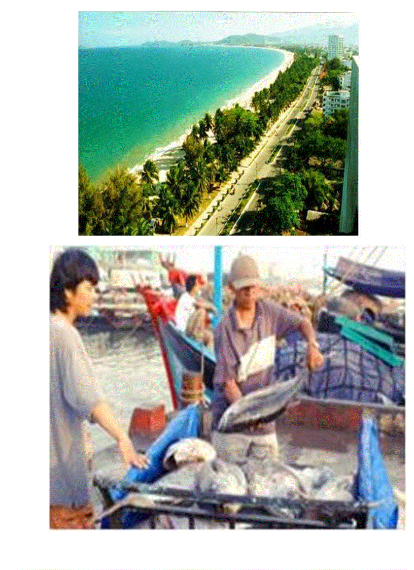 image for page Goi 2 tu lieu soan PP DL 12