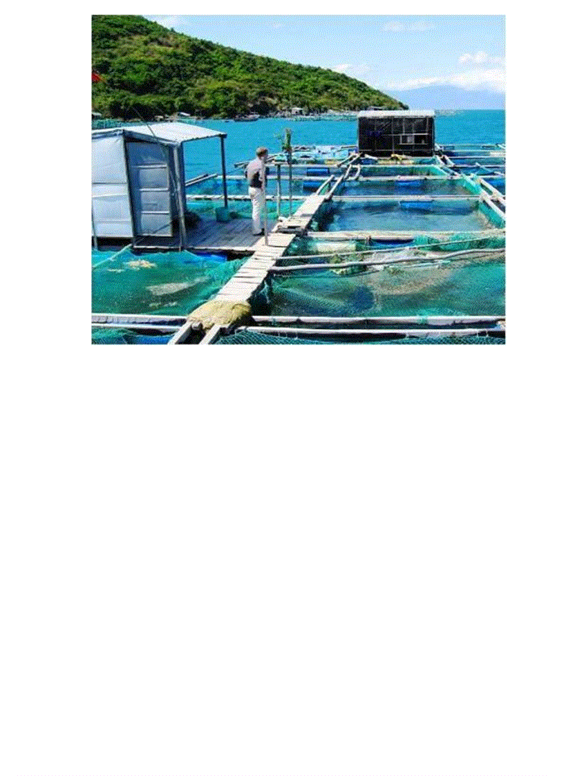 image for page Goi 2 tu lieu soan PP DL 12