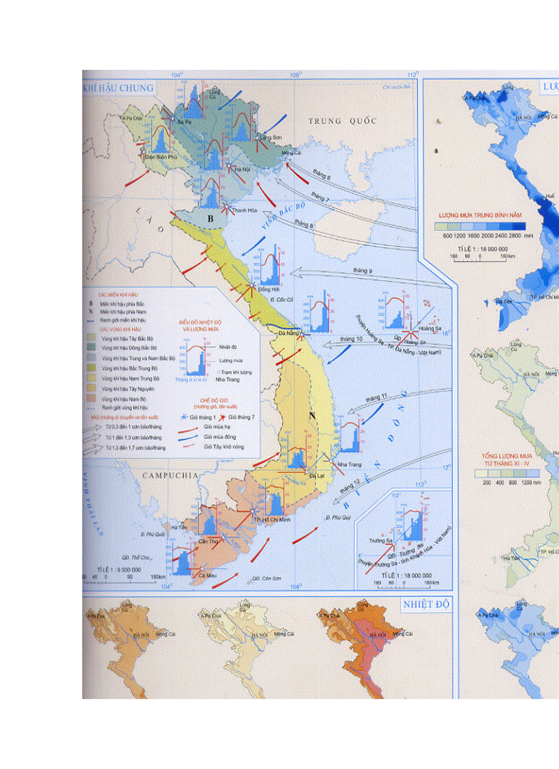 image for page Hinh scan tu atlat