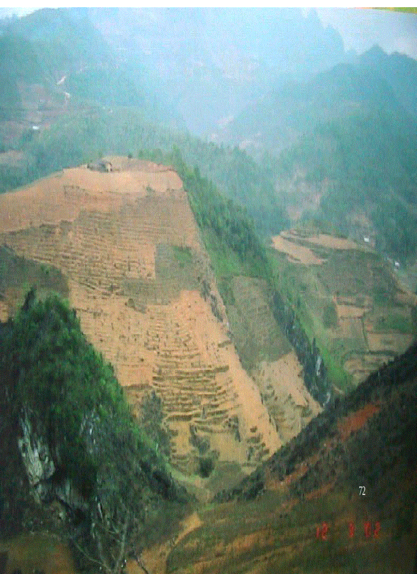 image for page Tài nguyên rừng Việt Nam