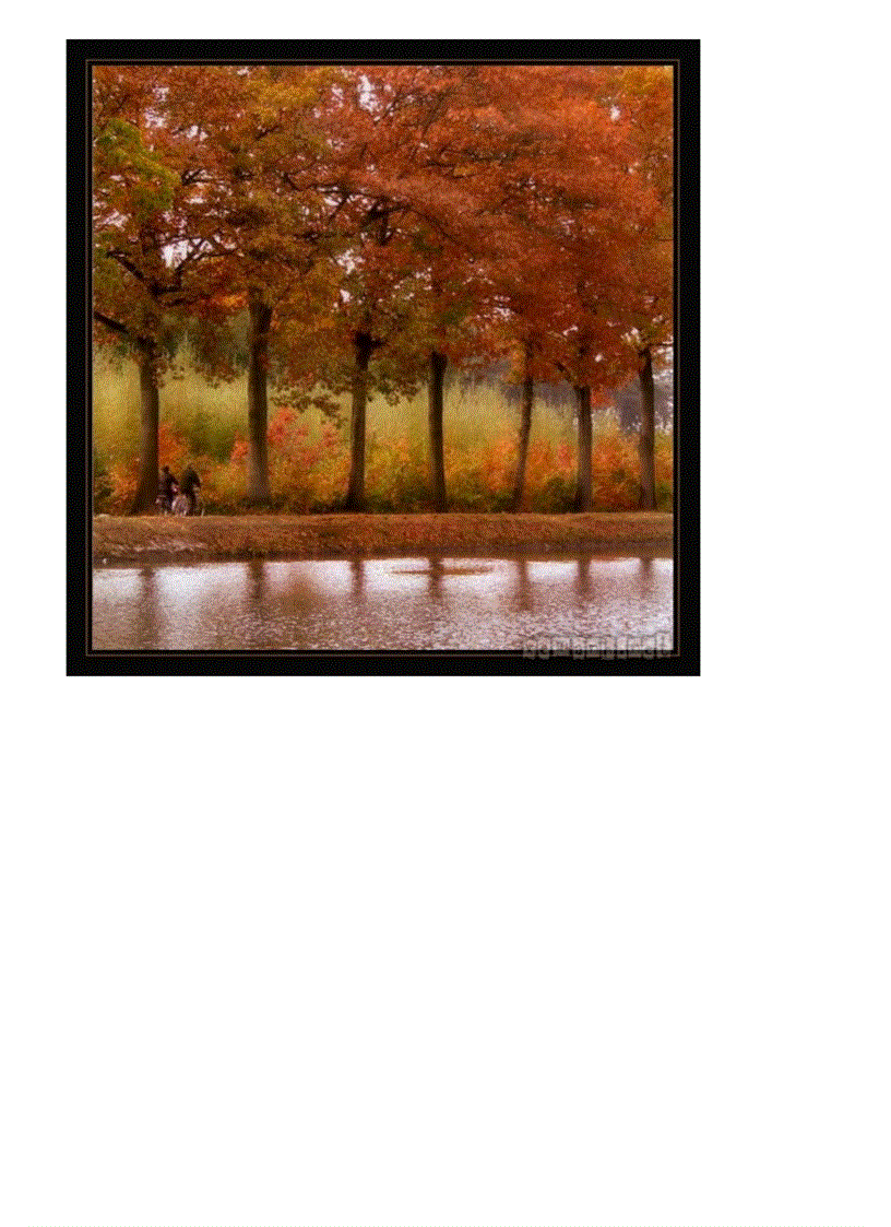 image for page Anh dep